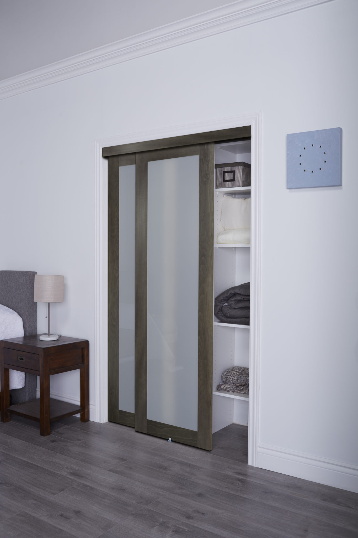 Euro 1Lite Bypass Door Renin Bypass Closet Doors