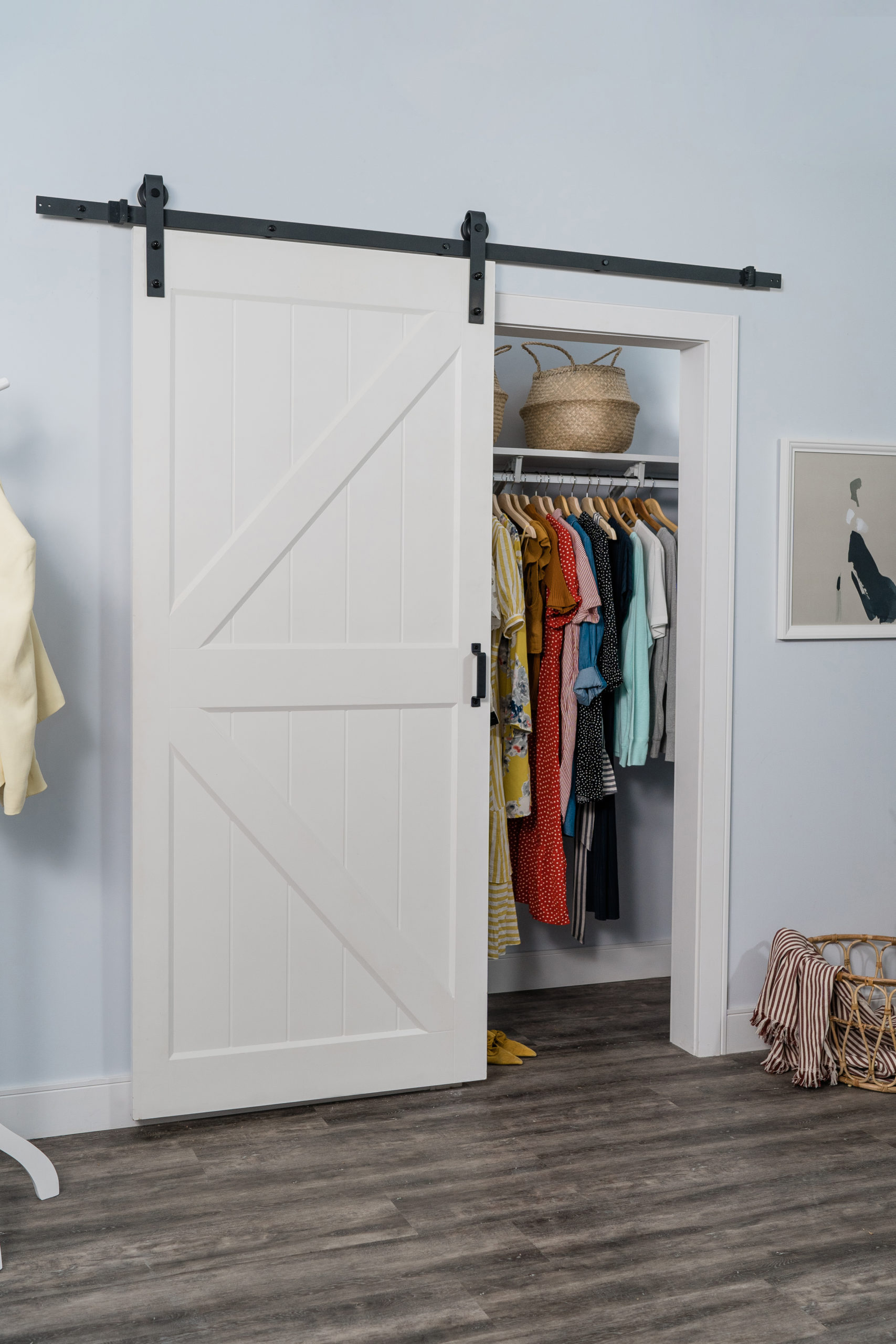 Hollow Core Complete Barn Door Kits Renin