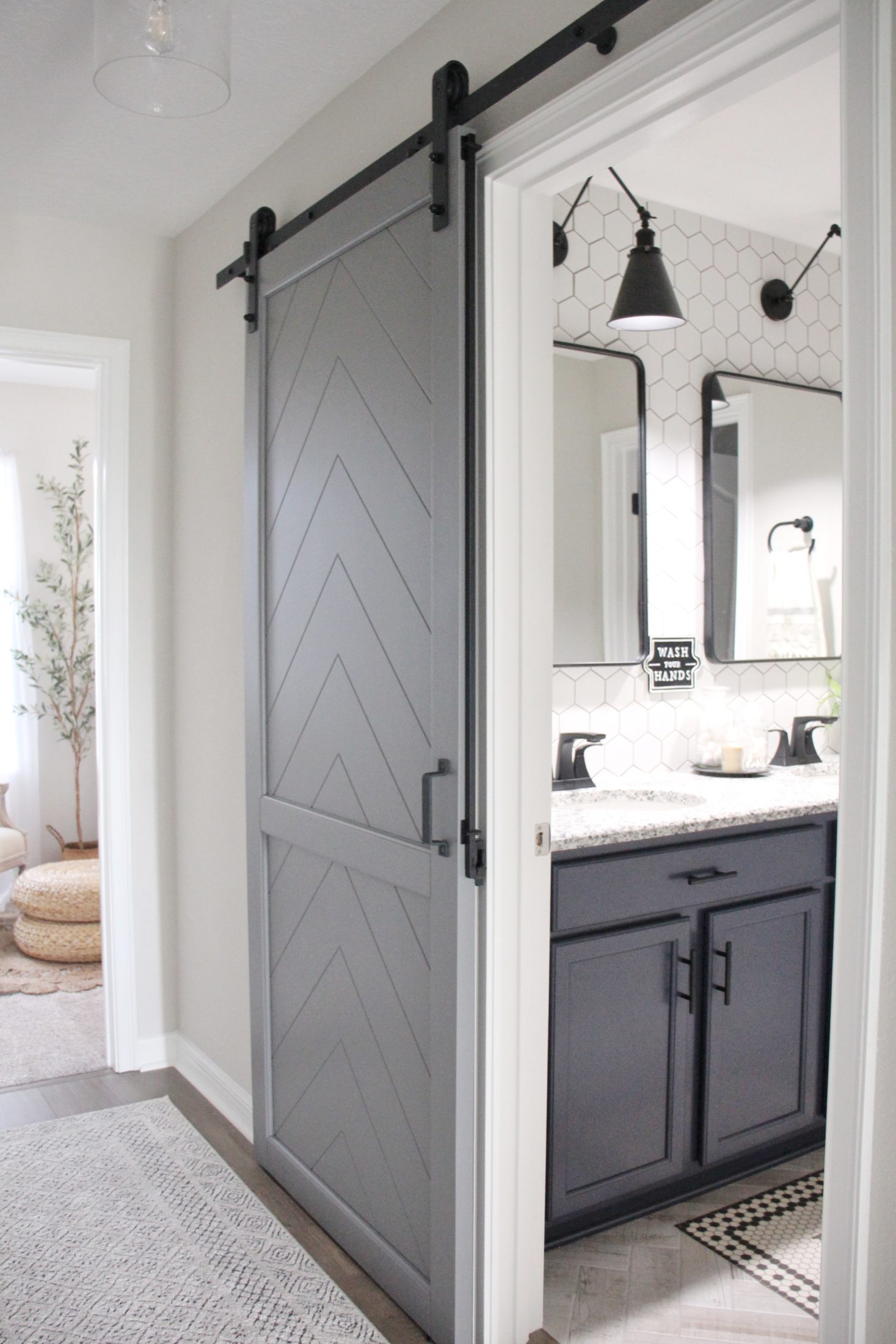 Barn Doors for the Bathroom - Renin